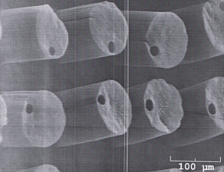 Carbon Nanotube Electrode Array for Neural Prosthetics