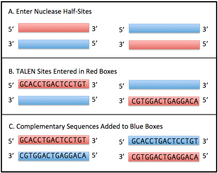 PROGNOS: A Web-based Tool for Designing Engineered Nucleases