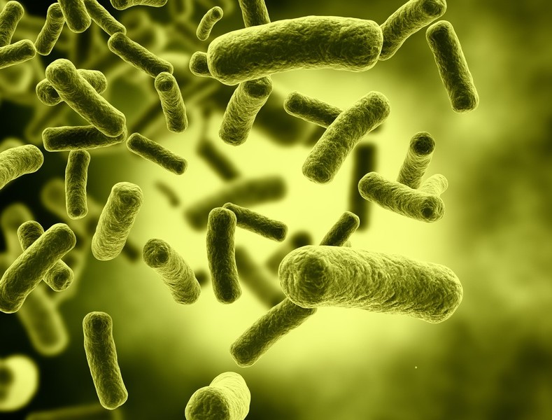 Antifolate Compound as Multi-Drug Resistant Pathogens