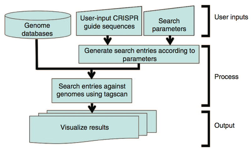 COSMID- A Search Tool for CRISPR/Cas Target Sites