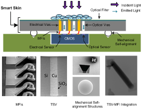 Smart Petri Chip: Electronic-Photonic Cellular Sensing Platform