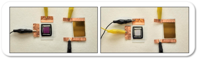 Electroactive Polymers with Rapid Switching Rates