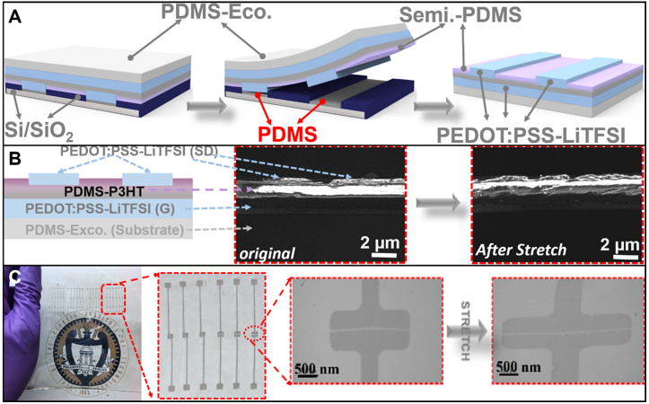 Stretchable Electronic Materials and Devices