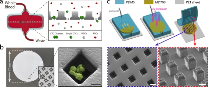 Design and microfabrication of the Cluster-Wells