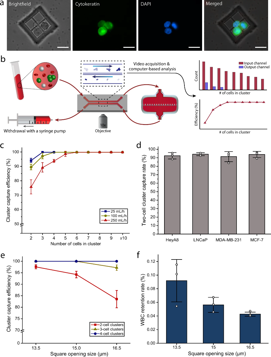 Characterization of the Cluster-Wells using unprocessed whole blood