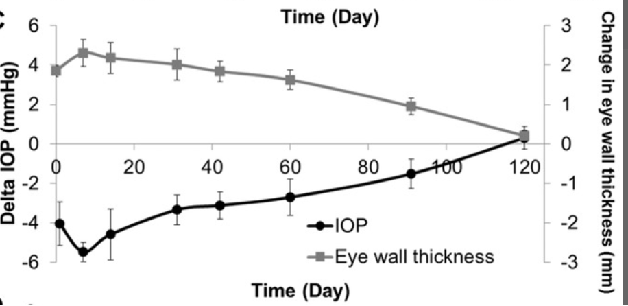 Graph reflecting the change in intraocular pressure and the eye wall thickness after hydrogel-injection over the course of 120 days in rabbits