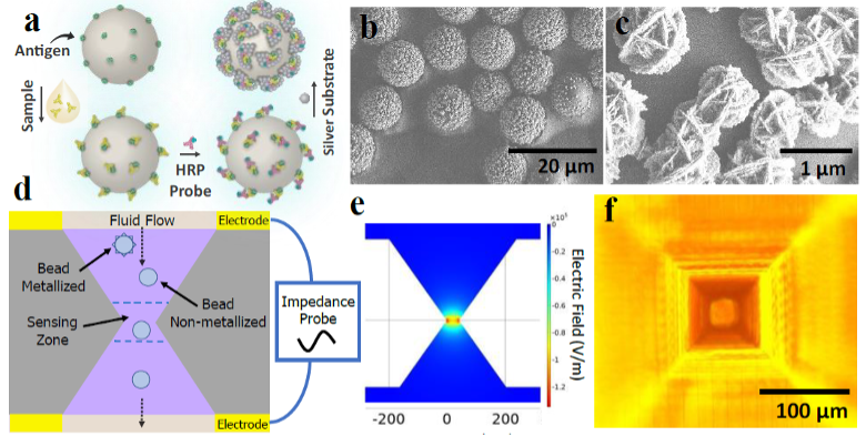 Electronic Immunoassay Using Enzymatic Metallization on Microparticles