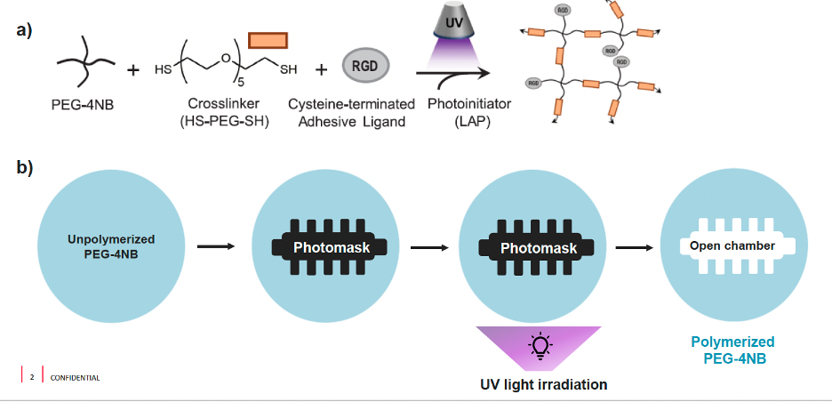 Efficiently Generating Complex Hydrogel Structures for Tissue/Organ-on-a-Chip Models