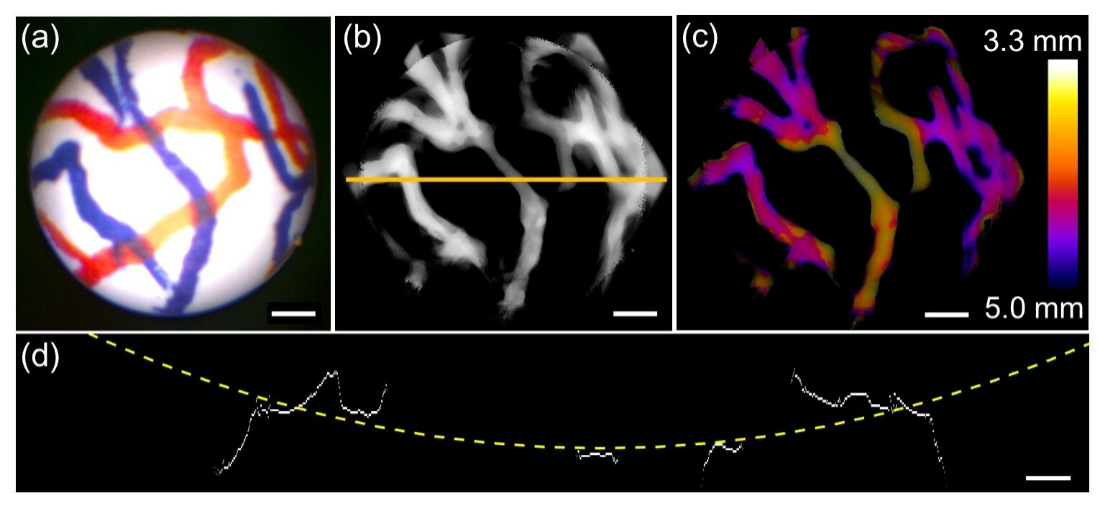 3D Light-Field Endoscopy for High-Precision Microsurgery