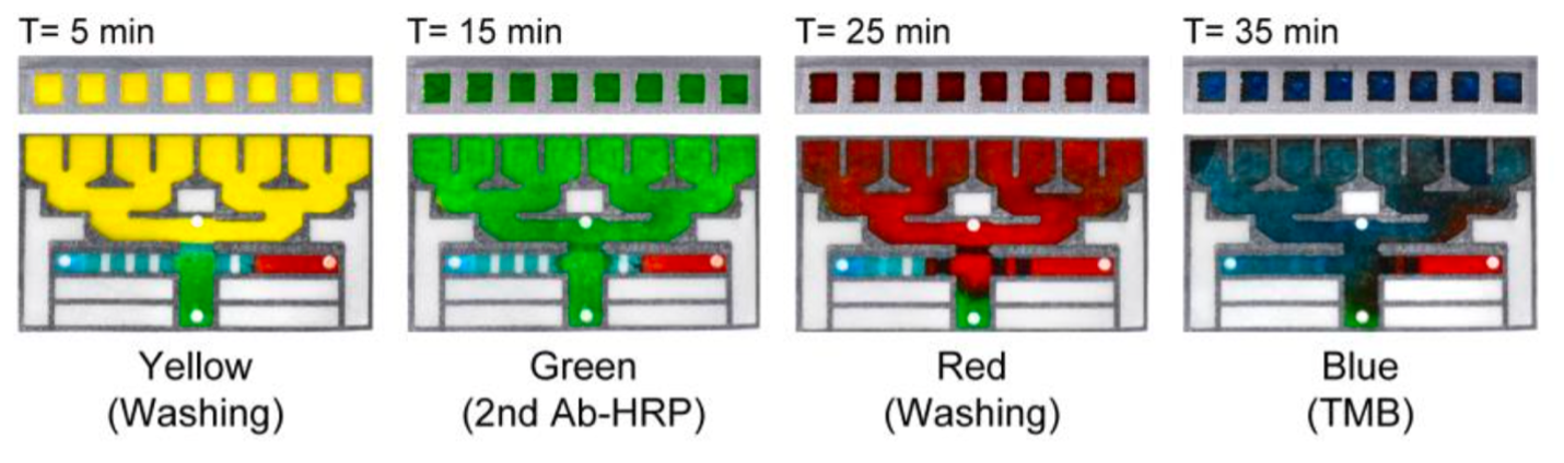 Cutaway of flow controller channels connecting to individual wells. Yellow T=5 min (washing buffer). Green T=15 min (2nd Ab-HRP). Red T=25 min (washing). Blue T=35 min (TMB).