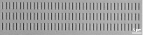 Black and white microscopy image showing a gray surface with an array of small vertically aligned tips. 