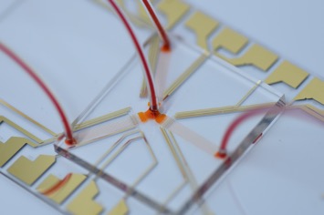 Scalable Microfluidic Device with Multiple Constriction Channels for High-Throughput Mechanophenotyping