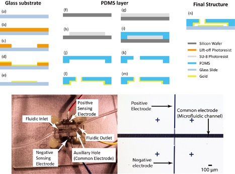 A schematic diagram of the parallel electrode fabrication method and a photo of the final device, showing methods for the glass substrate and the PDMS layer as well as the final bonding for the full device.