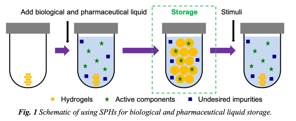 Smart Porous Hydrogels to Increase Cold Supply Chain Efficacy of Biologics and Pharmaceuticals