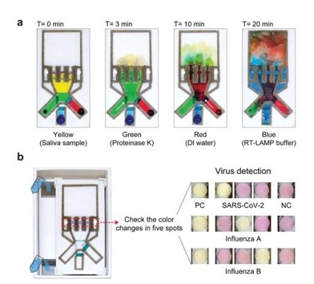 Capillary Flow Control in Lateral Flow Assays (LFAs) via Delaminating Timers