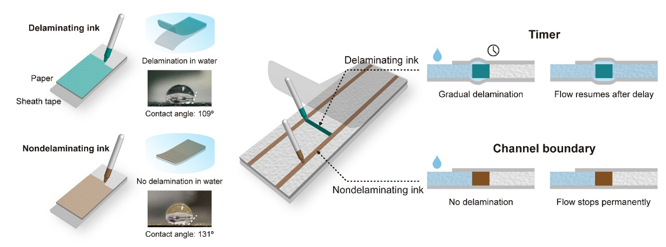 Capillary Flow Control in Lateral Flow Assays (LFAs) via Delaminating Timers