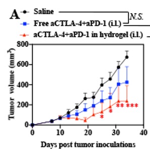 Novel Crosslinked Hydrogel Improves Efficacy and Side Effects of Cancer Treatment 