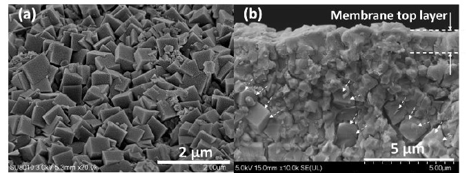 Zeolite Membrane Sieves Fabricated on Low-Cost Alumina Hollow Fiber Substrates