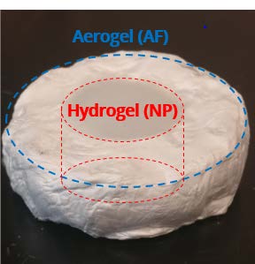 Novel Polymer Hybrid Improves Stability of Implantable Devices