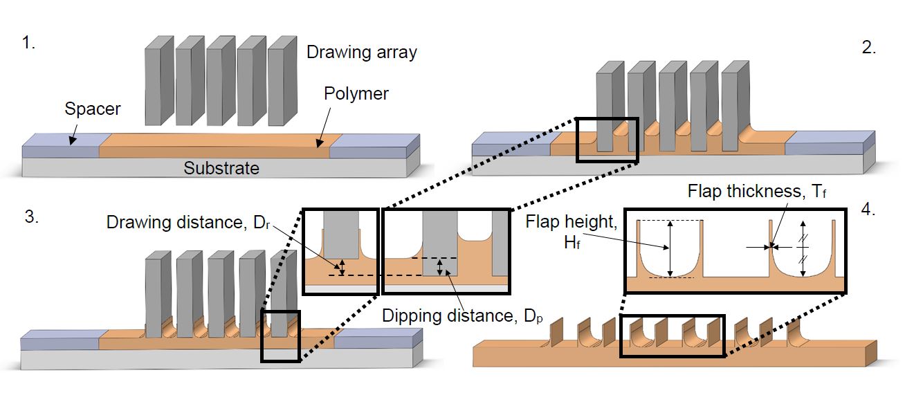 Bio-Inspired Gripper with Shear-Induced Clamping