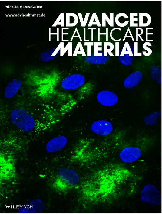 Scalable, Low-Cost, Inversion-Free Method of Enabling Automated Underside Cell Seeding 