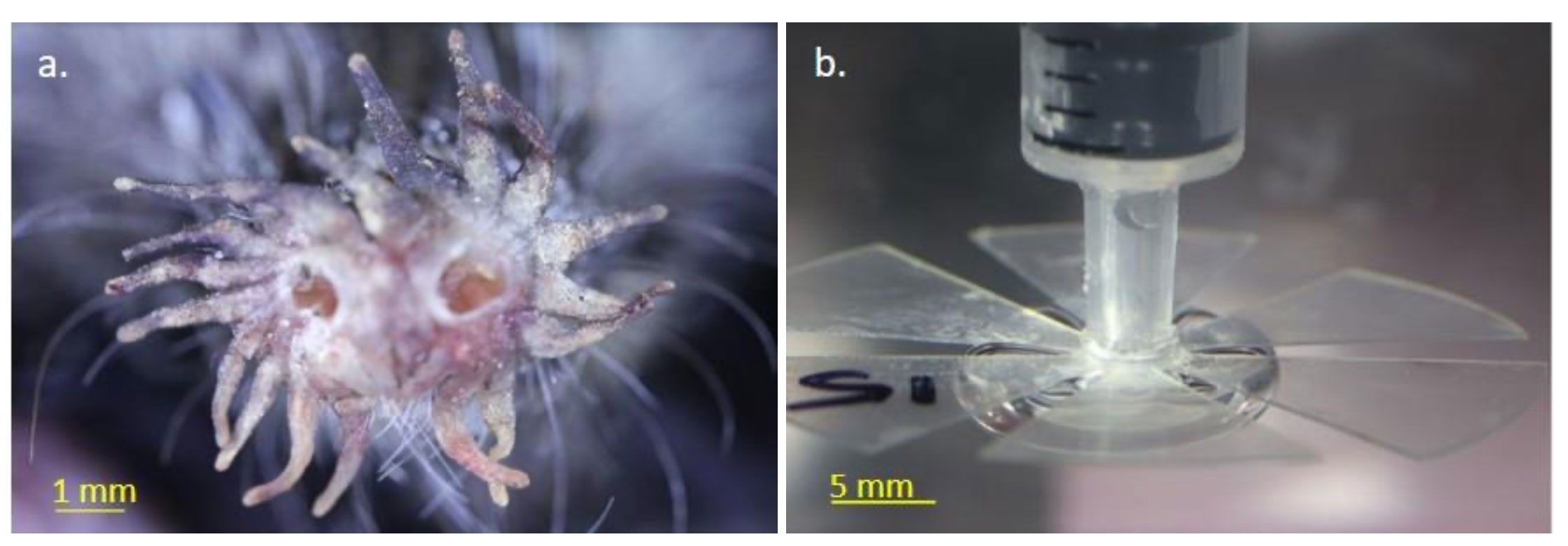 A Biomimetic Nose with Machine Learning for Advanced Threat Detection