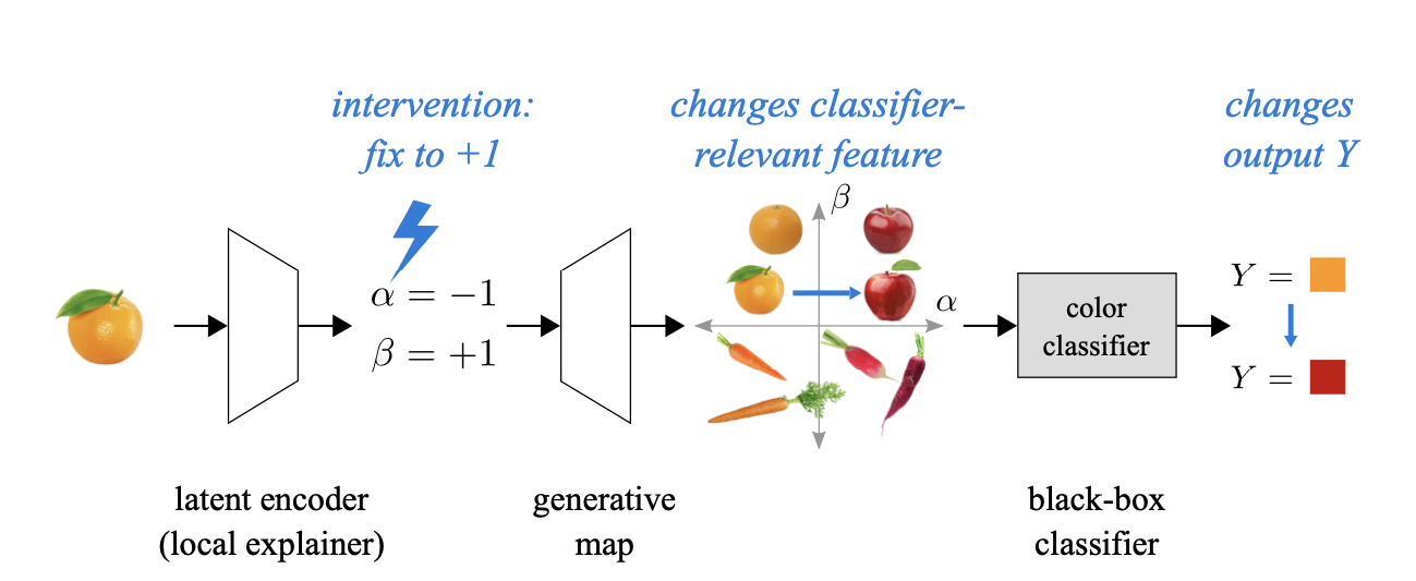 Generative Causal Explanations for Black-Box Classifiers