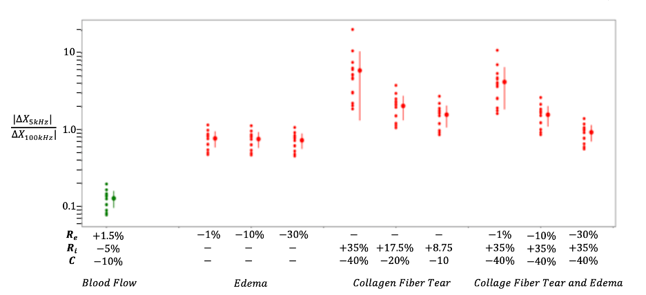 Wearable Device for Evaluating Post-Injury Ankle Health During Ambulation