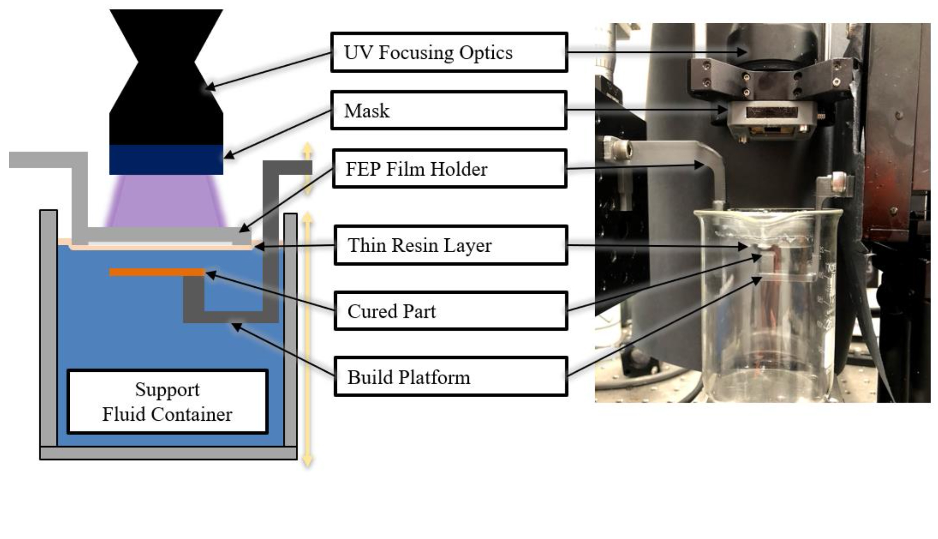 Fluid Interface–Supported Printing Process for Stereolithography 3D Printing 