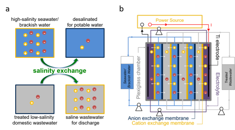 Salinity Exchange Process for Low-Cost, High-Quality Potable Water 