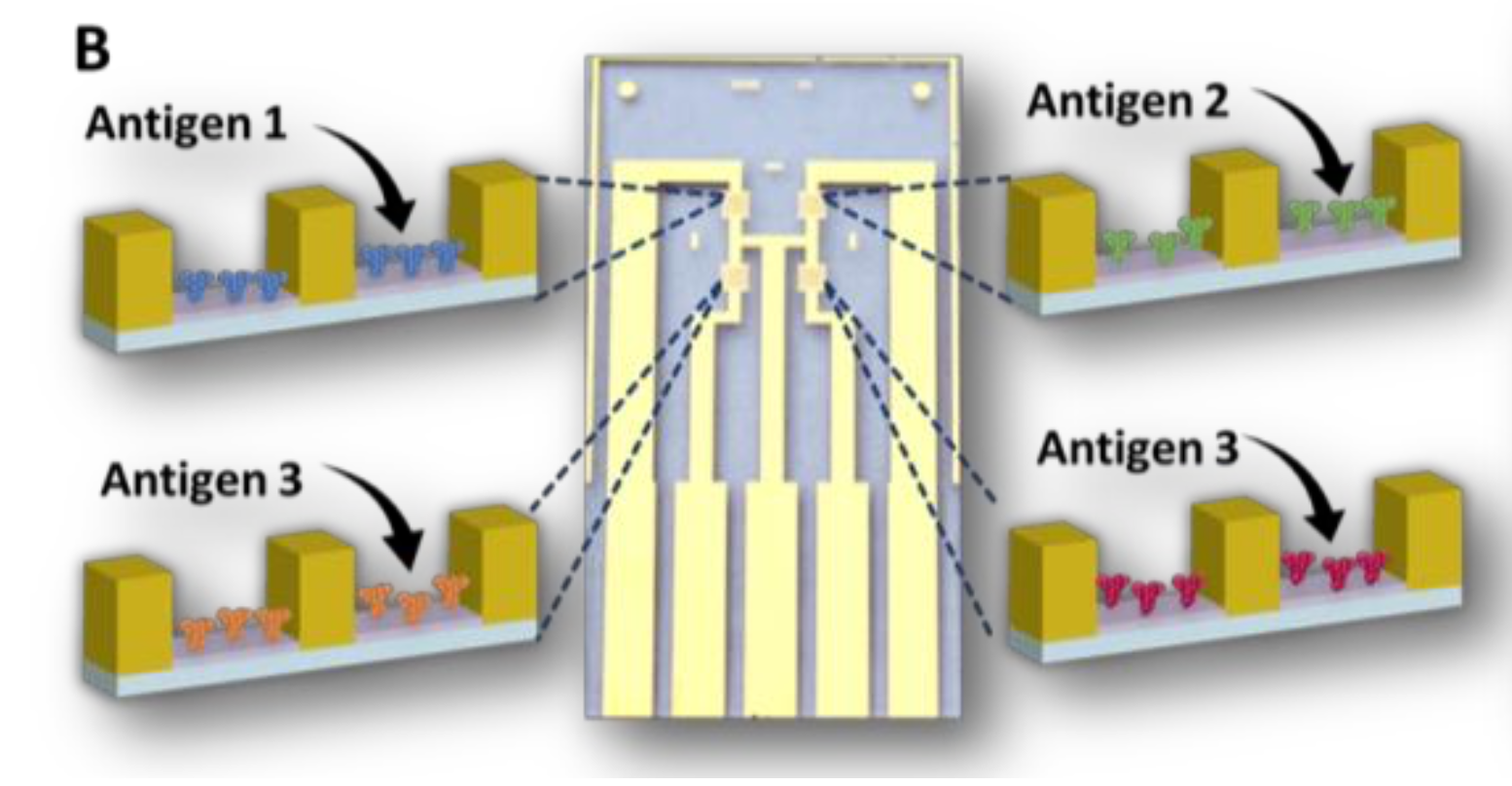 Quantitative, Multiplexed Electronic Detection of COVID-19 Biomarkers