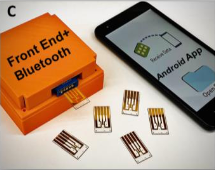 Quantitative, Multiplexed Electronic Detection of COVID-19 Biomarkers