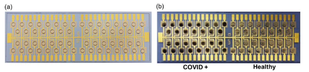 Quantitative, Multiplexed Electronic Detection of COVID-19 Biomarkers