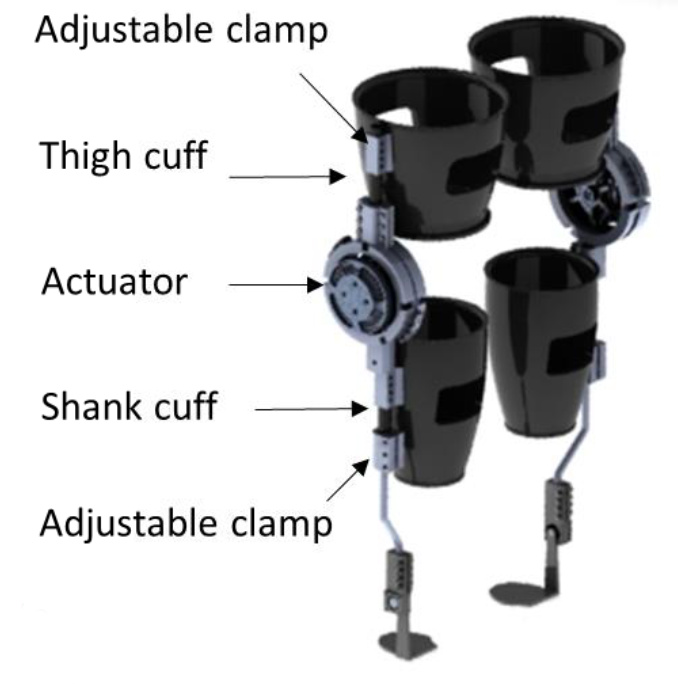 Powered Bilateral Knee Exoskeleton for Rehabilitation of Children and Adults