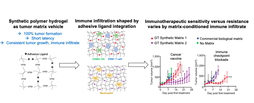 Developing Tumor Immune Microenvironments via Engineered Hydrogel