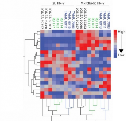 High-Throughput MSC Potency Assay to Bring Feasibility to Immune/Inflammatory Therapeutics