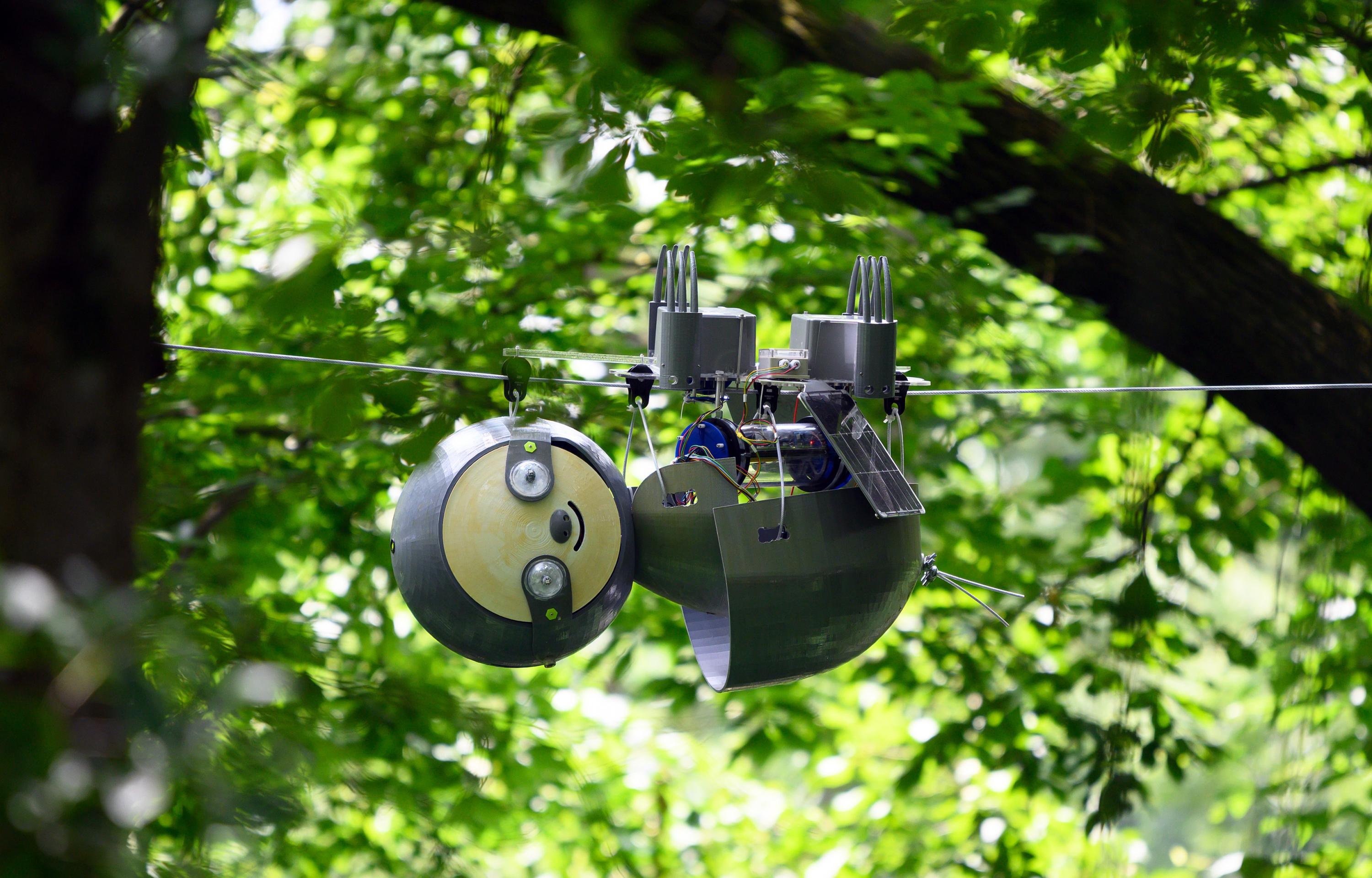 SlothBot: Sustainable Solution for Studying Climate Change 