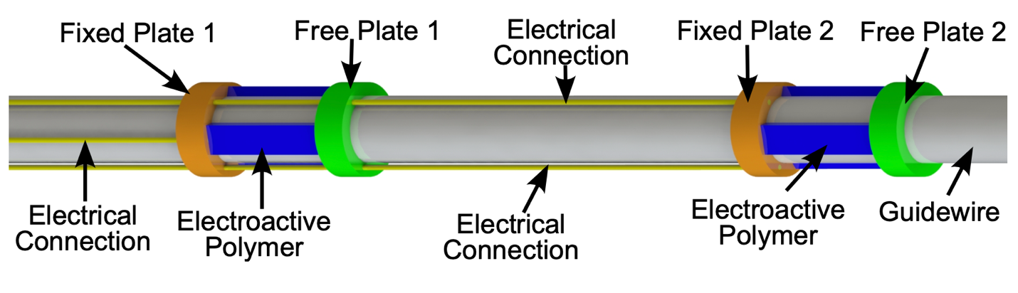 Rod with 2 electroactive polymer sections with an orange left-end fixed plate and a green right-end free plate. 3 electrical connections run from the left end of the rod; 1 stops at the first EAP and 2 continue to the 2nd EAP.