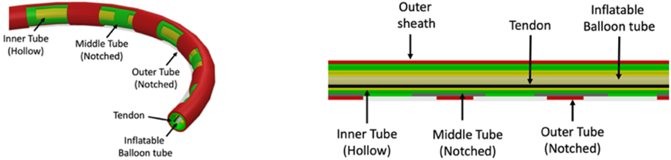 Outer sheath with inner hollow tube, notched middle tube, and a notched outer tube. Cutaway shows the tendon and inflatable balloon are inside the inner hollow tube. 