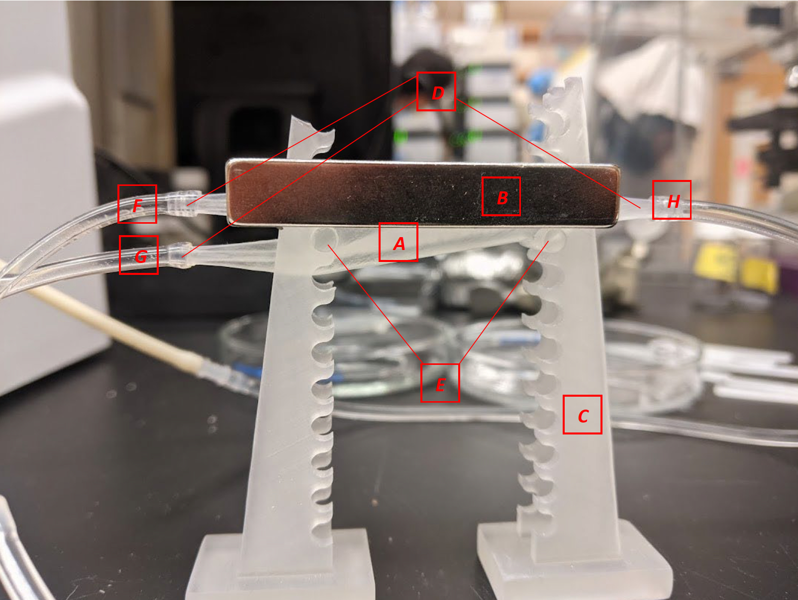 Photo of the rectangular magnetic bar supported by a clear plastic stand with two tubes connecting to the magnet and a triangular section used for separation below the bar. One tube connects on the right-hand side of the magnetic bar.  