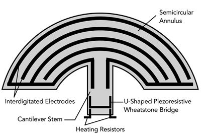 Illustration of hammerhead-shaped resonator
