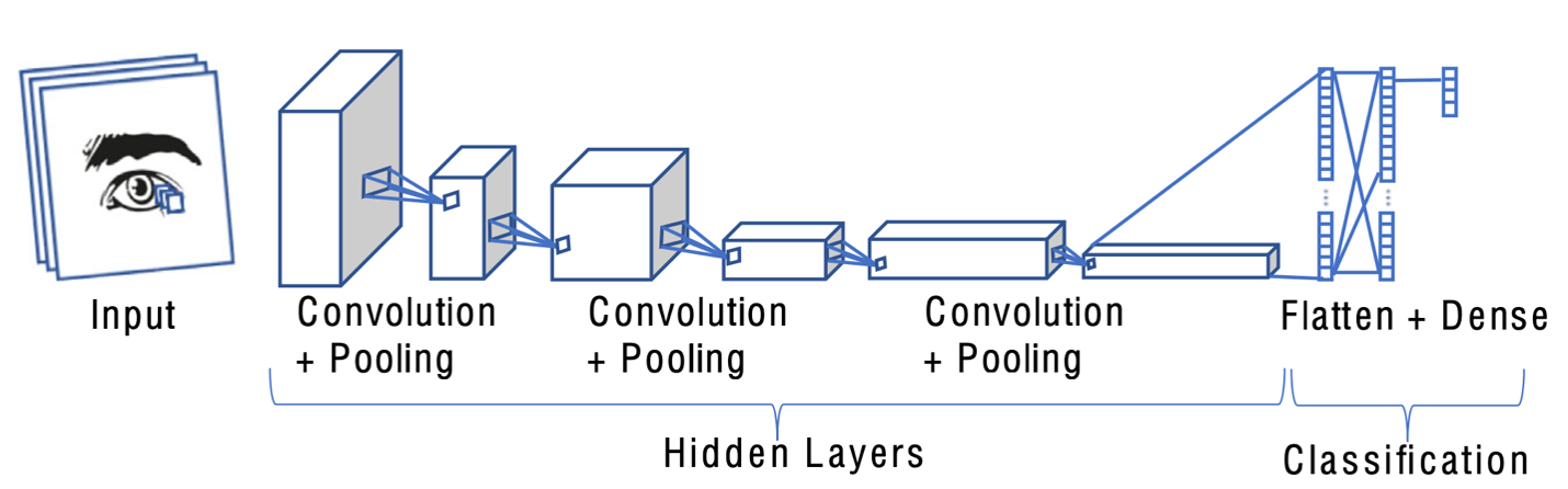 Eye input icon to “hidden layers” made up of 3 Convolution + Pooling blocks of varying sizes and shapes leading to “Classification” made up of Flatten + Dense indicated by three columns of small, stacked blocks with connecting lines. 
