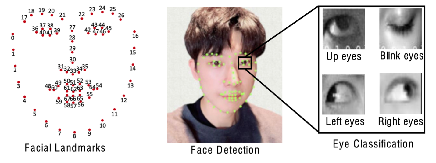 Facial Landmarks shown as red numbered dots in the shape of a face, eyes, nose, and mouth. Face Detection photo of person with landmark dots overlaid. Eye classification shown as eye looking up, eye blinking, eye looking left, and eye looking right.