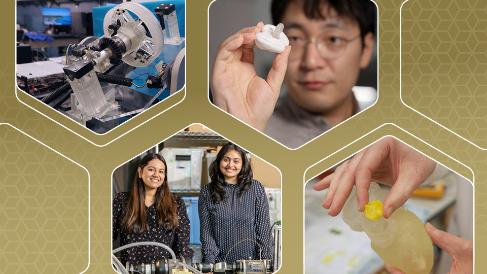 four hoineycomb graphics with images of researchers or research equipment in them