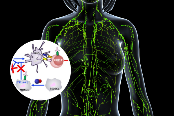 Lymphatic system graphic with tech overlay