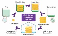 Self-driven, reusable, scalable technique for harvesting microalgae with porous superabsorbent polymer Self-driven, reusable, scalable technique for harvesting microalgae with porous superabsorbent polymer